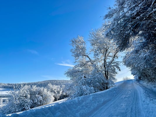 Wintermorgen zum St. Hilarius-Friedhof