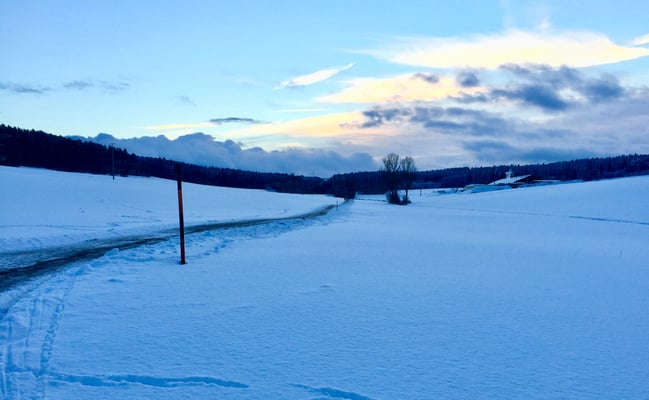Am Weiherbach Richtung Hörschweiler See