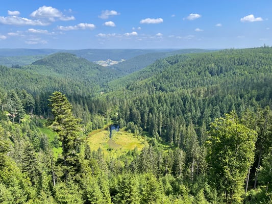 Unten der Ellbachsee