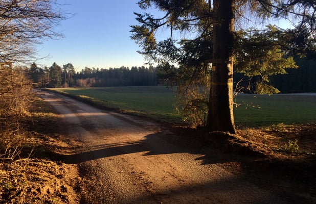 Am Weg zur Erddeponie
