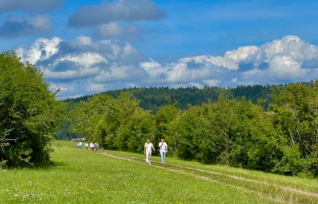 Weiter Richtung Hörschweiler See -...