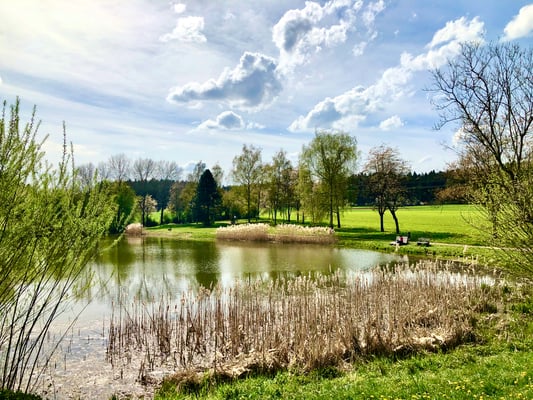 Am Hörschweiler See