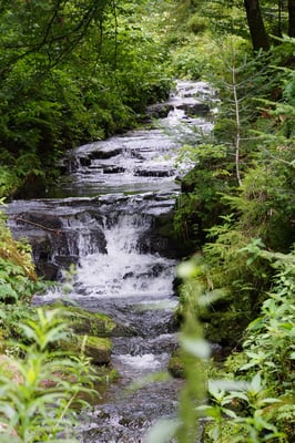 Von Loßburg abwärts entlang der Kinzig