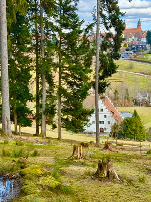 Vom Hang gegenüber: Blick auf Bärenschlössle und Stadtkirche