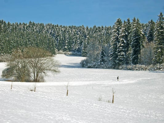 Schwabswiese in Tumlingen