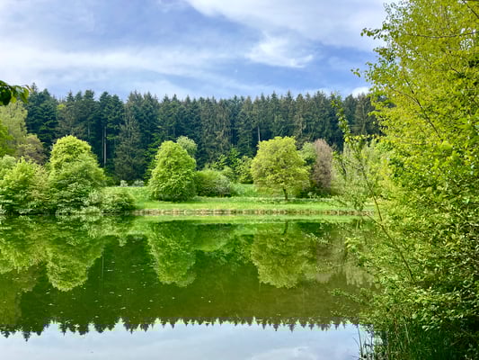 Am Tumlinger See