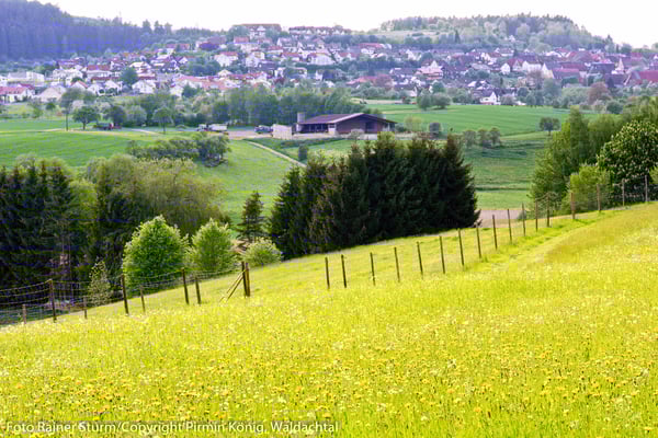 Südlicher Blick auf Salzstetten 