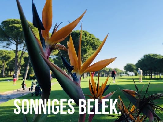 Sonnig mit Unterbrechungen.