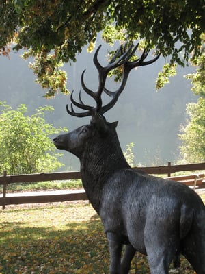 Heute Jäger-Schnitzel