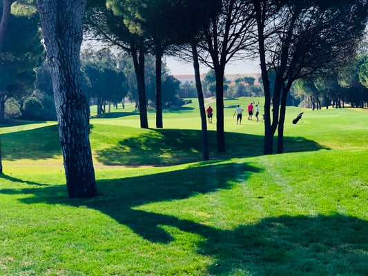 Blick auf Sultan Bahn 6