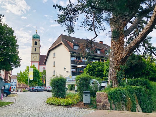 Hotel "Goldener Knopf" mit Terrasse "Le Jardin"