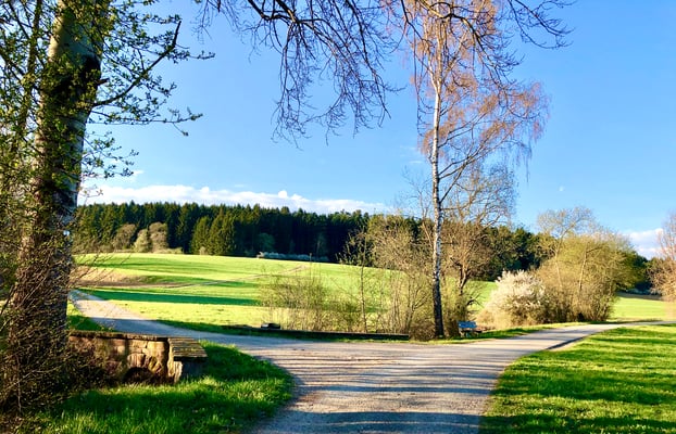 Beliebter Wanderweg entlang der jungen Waldach