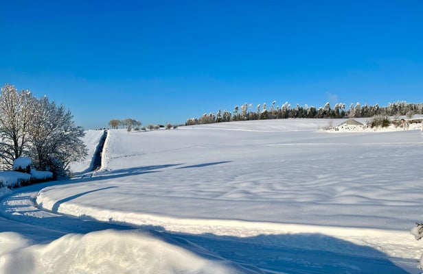 Am Tumlinger Schellenberg