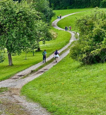 Weiter Richtung Hörschweiler See -...
