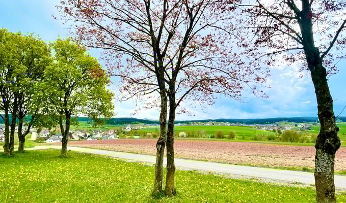 Schellenberg auf halber Höhe