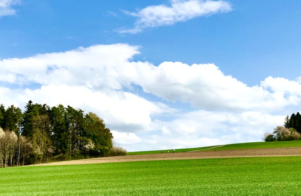 Hängle vom Hörschweiler See hoch zum Tumlinger Weg