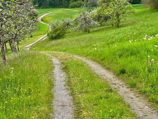 schöne Wanderroute nach der Quellbach-Station