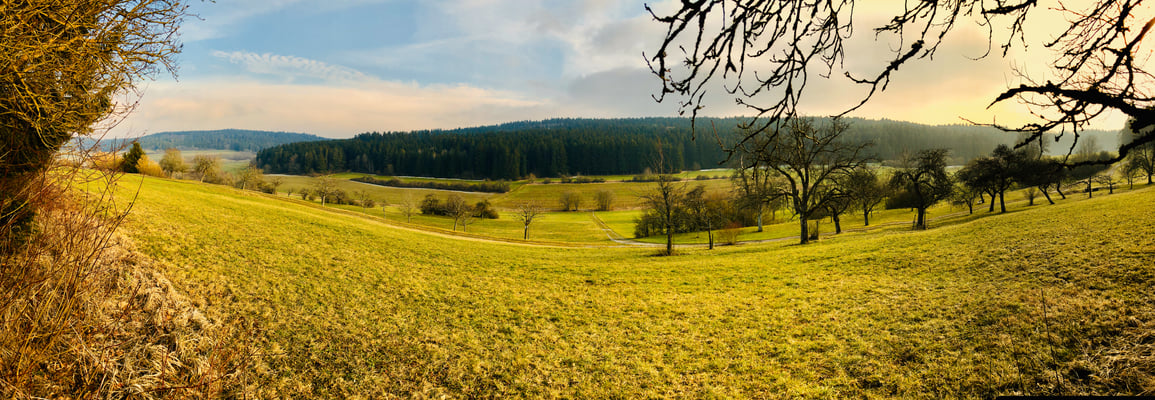 Talblick-Panorama auf Riedhalde mit Weiherbach