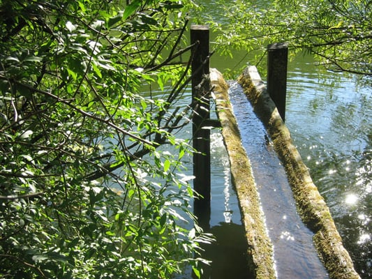 Quelleinlauf Tumlinger See