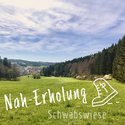 Blick auf Tumlingen über die Schwabswiese