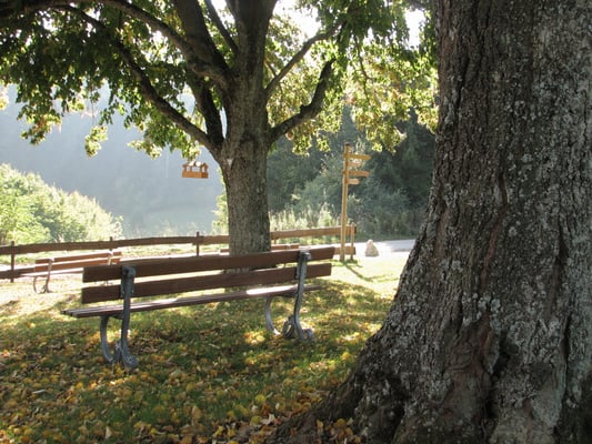 Auch der Herzsport-Weg startet hier.