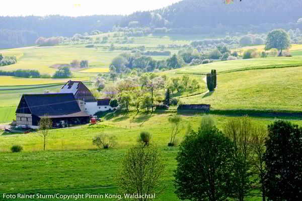Südlicher Blick auf Salzstetten 