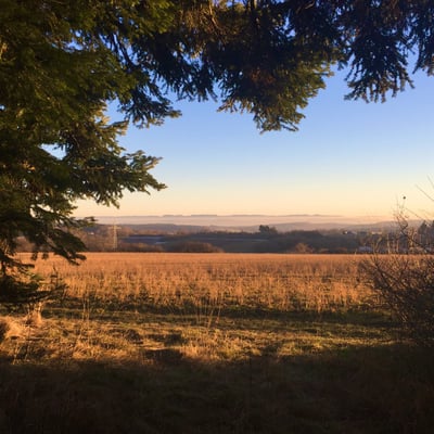 An der oberen Riedhalde