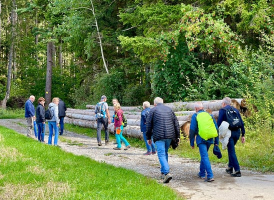 Durch das Markental hinauf durch den Wald ...