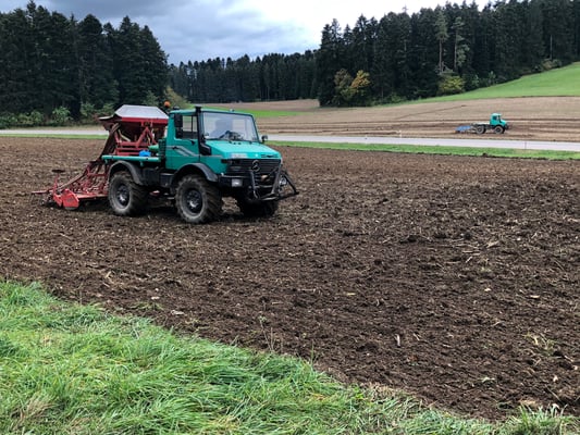 Alles winterfest machen ...