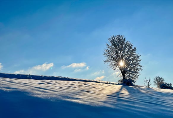 Am Fußweg nach Hörschweiler