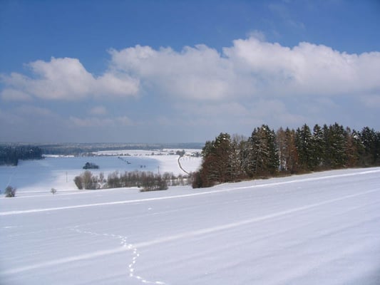 Hörschweiler See