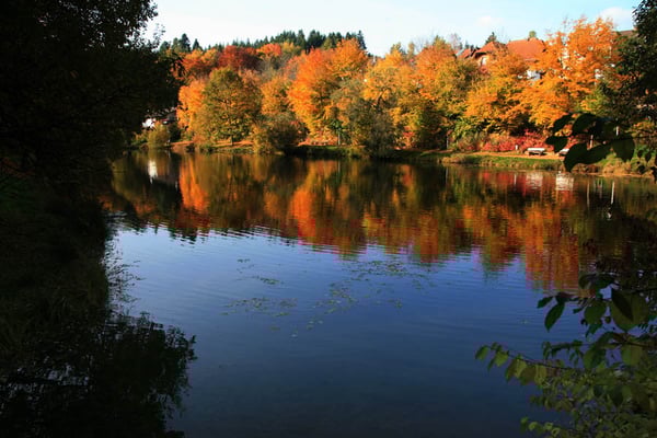 Breitenbach See in Lützenhardt
