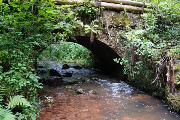 Von Loßburg abwärts entlang der Kinzig