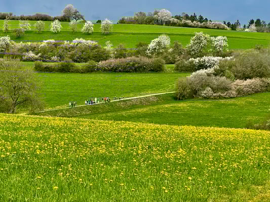 Das war schon im Mai. Weg zum Martinsfriedhof.
