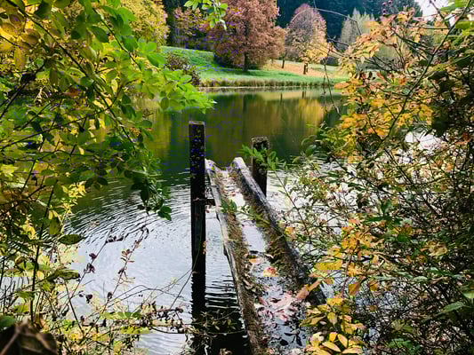 Wassereinlauf am Tumlinger See