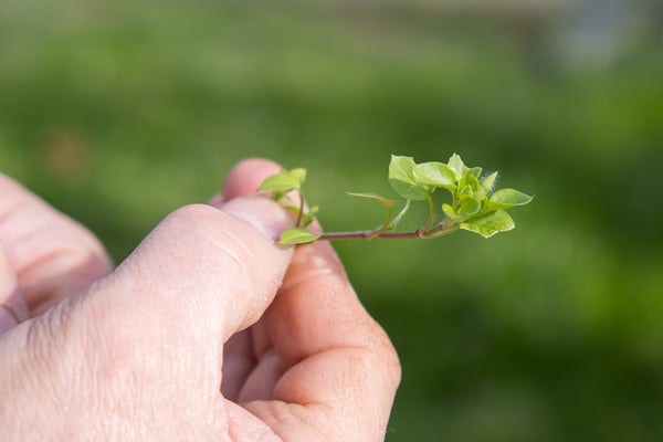 Photo © ameliebphotographe.fr