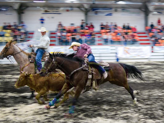 Ready to drop onto that doggin' steer