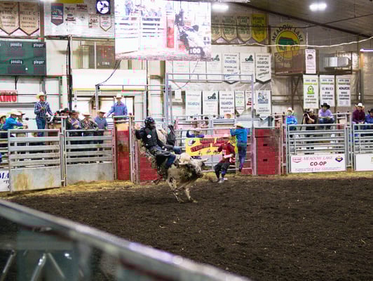 He's starting to come loose!