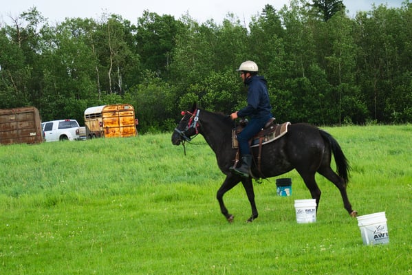 This was the W race (that was the pattern) Sebastian/Rocky