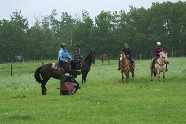 Most of the riders and some of the horses were doing something new. Helen on Lace