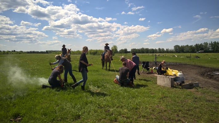 They're keeping busy now