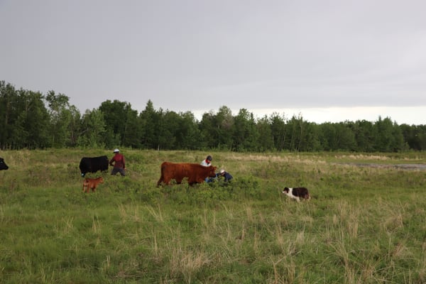 Winning Ways crew at work