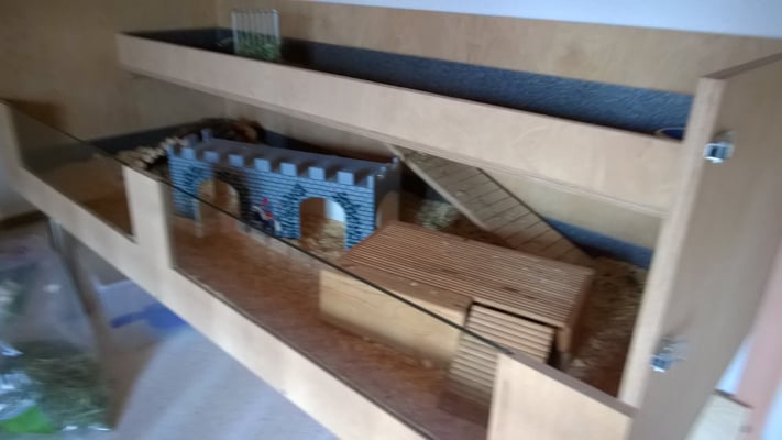 There are a couple of guinea pigs hiding somewher in this instilation that Michael created for them.