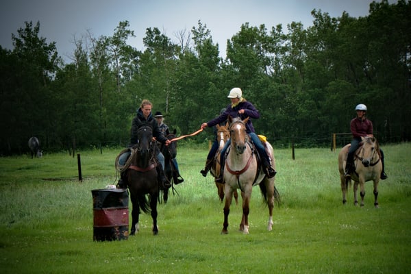 Want to create more challenge? Double the fun! Gini/Slim & Clemence/Spider