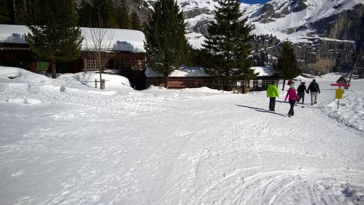The chalets just above the lake.