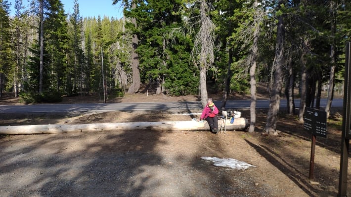 Wieder auf dem PCT, kurzzeitig ohne Schnee