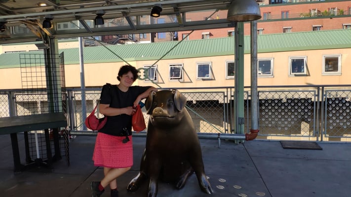 Noch mal Schwein ;-)