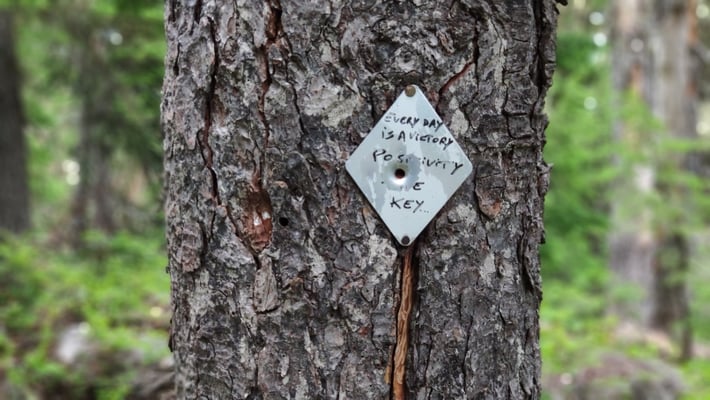 Markierung für Spruch genutzt: " Every day ist a victory. Positivity is the key"