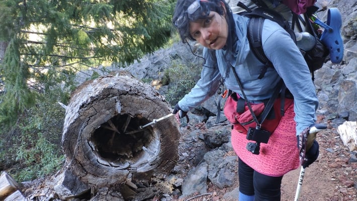 Natürliche Kunst ;-)