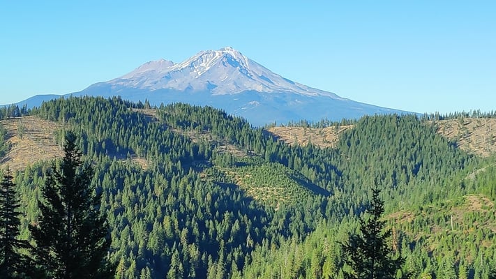 Mount Shasta